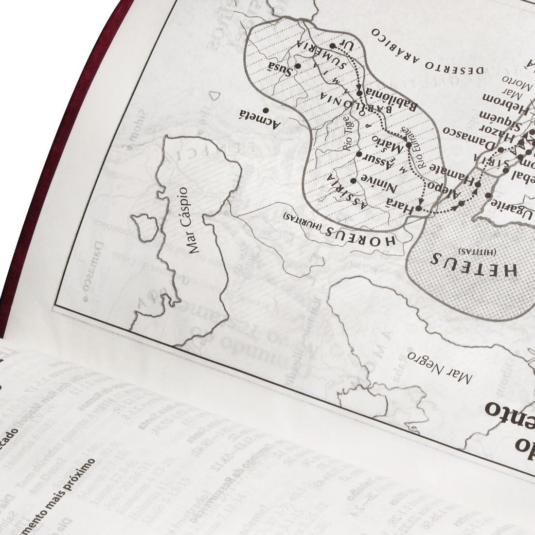 Bíblia Sagrada | Letra Gigante | ARC | Capa Couro Púrpura Nobre Luxo | c/ Índice