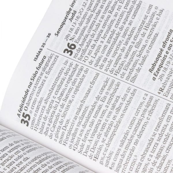 Bíblia Sagrada | Letra Gigante | ARA | Capa Triotone Pink Luxo