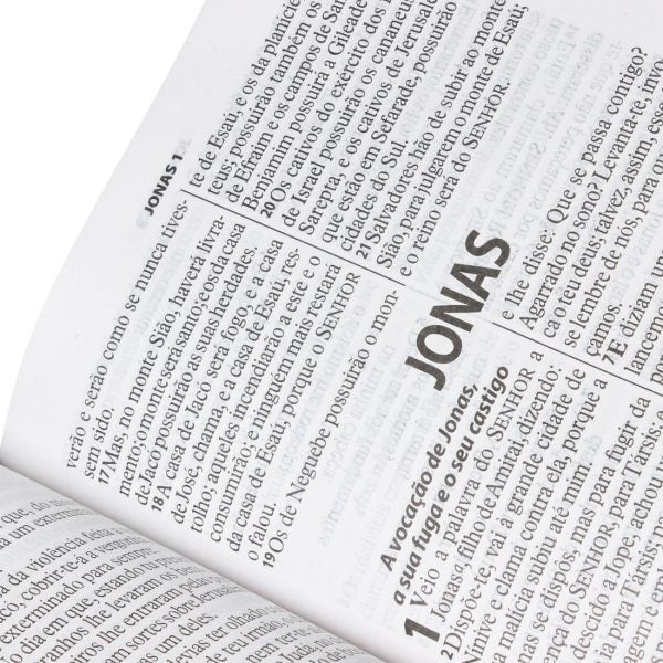 Bíblia Sagrada | Letra Gigante | ARA | Capa Triotone Pink Luxo