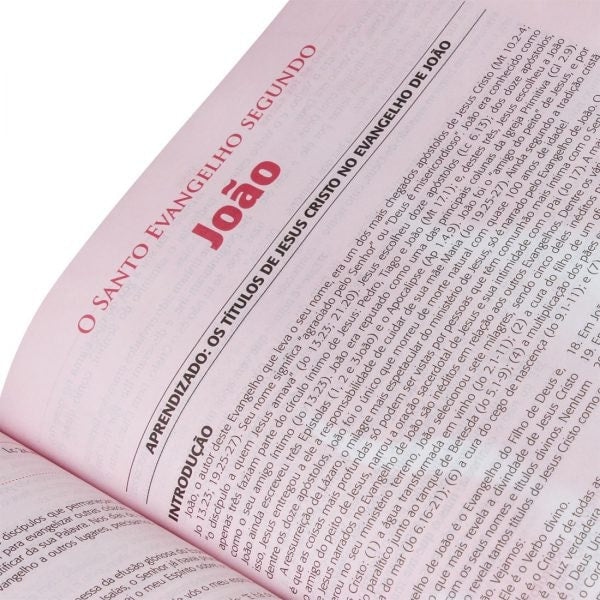 Bíblia do Pregador Pentecostal | Letra Normal | ARC | Capa Vinho Nobre C/ Índice