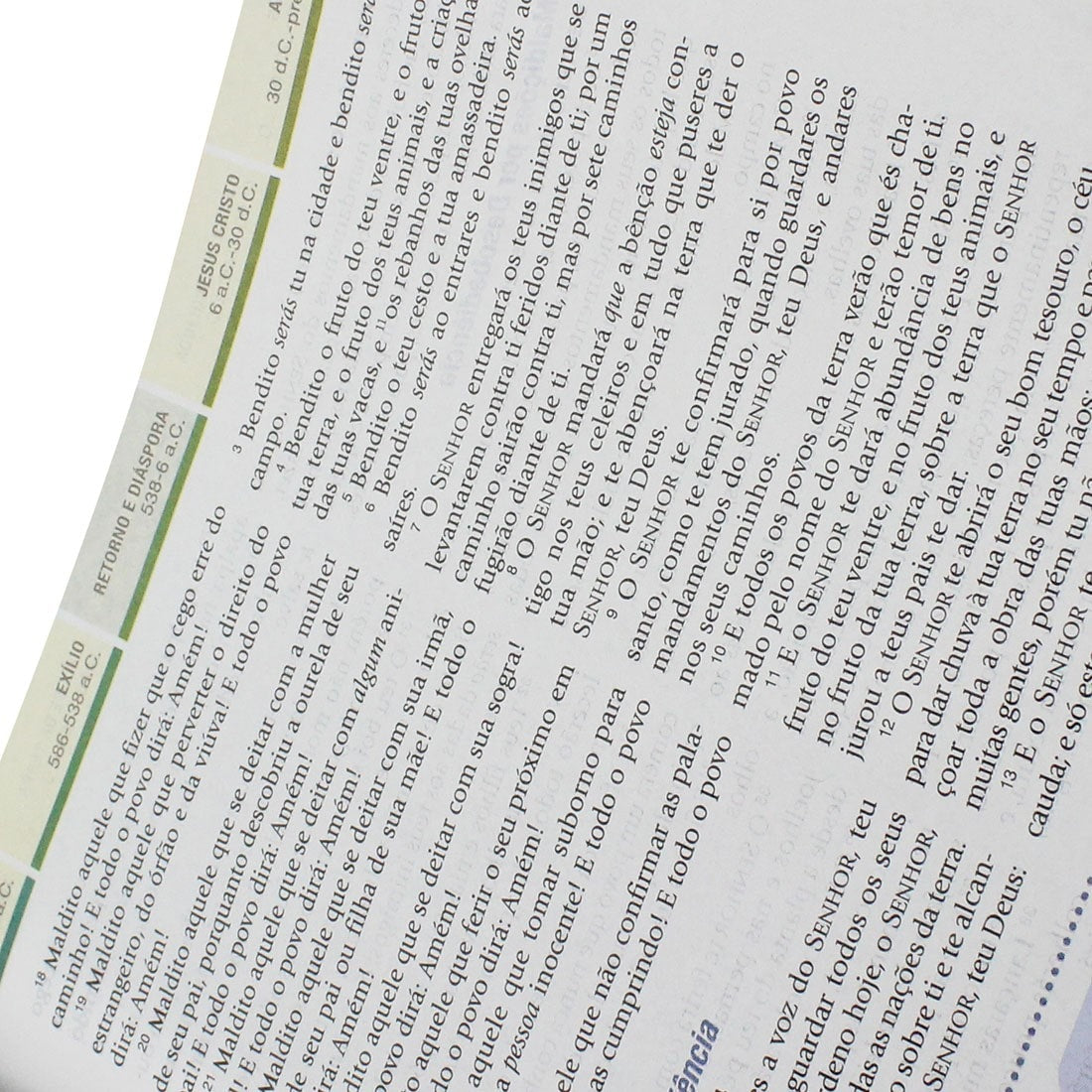 Bíblia de Estudo em Ordem Cronológica Aplicação Pessoal | ARC | Letra Normal | Capa Marrom/Verde Luxo