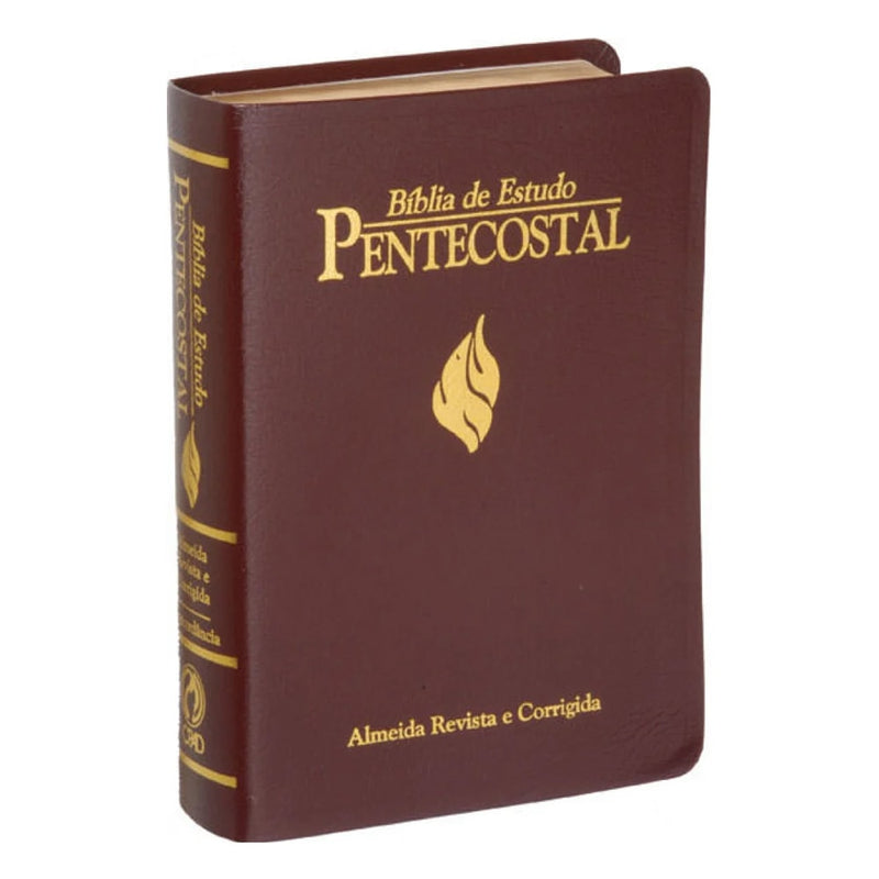 Bíblia de Estudo Pentecostal Grande | Letra Grande | ARC | Luxo Vinho
