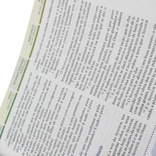 Bíblia de Estudo em Ordem Cronológica Aplicação Pessoal | ARC | Letra Normal | Capa Marrom Claro/Escuro