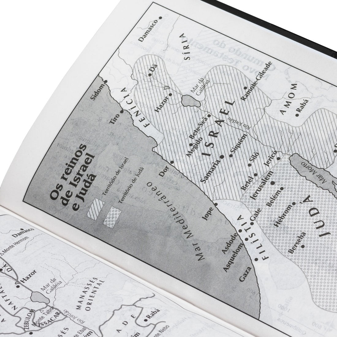 Bíblia Sagrada Lettering | Letra Normal | NTLH