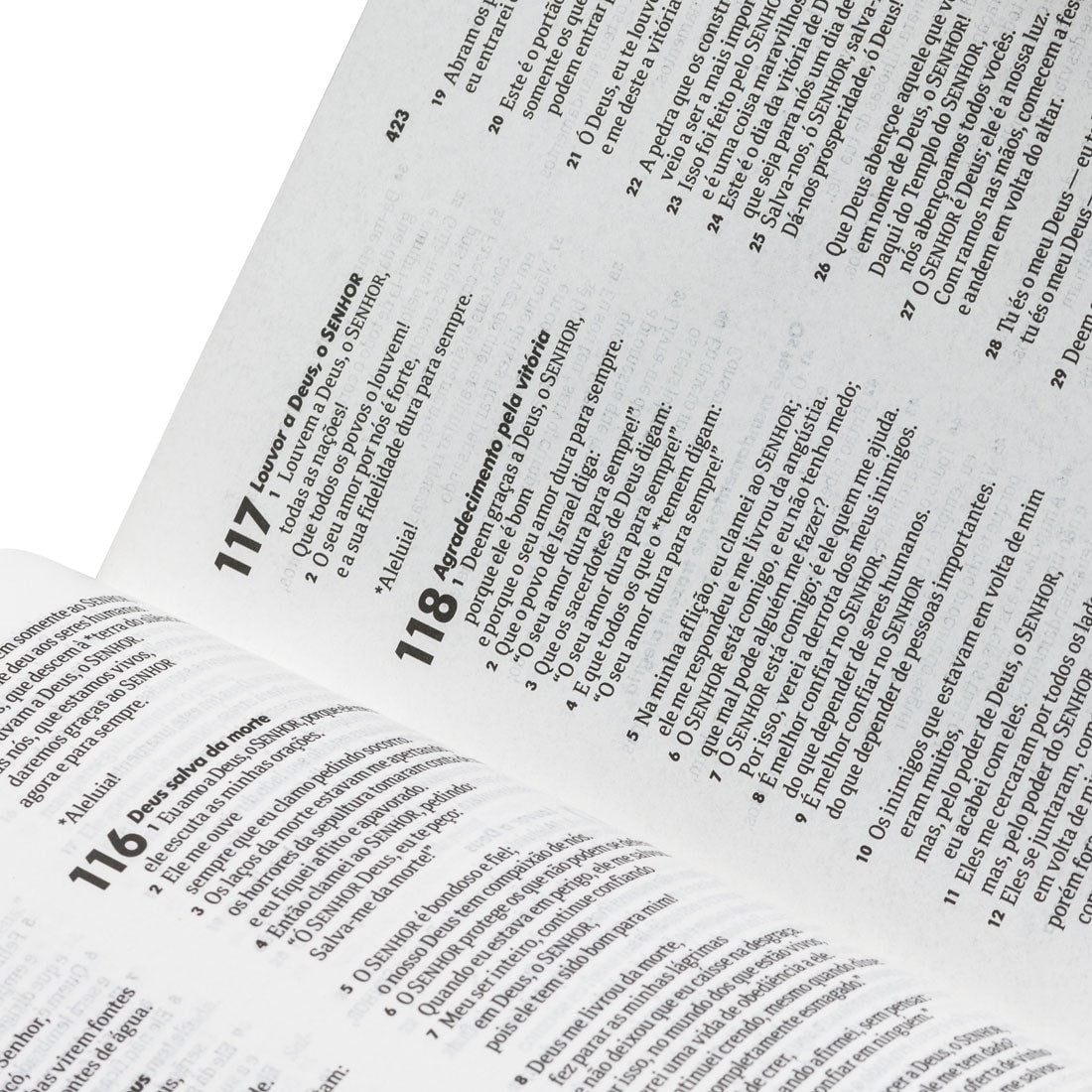 Bíblia Sagrada Lettering | Letra Normal | NTLH