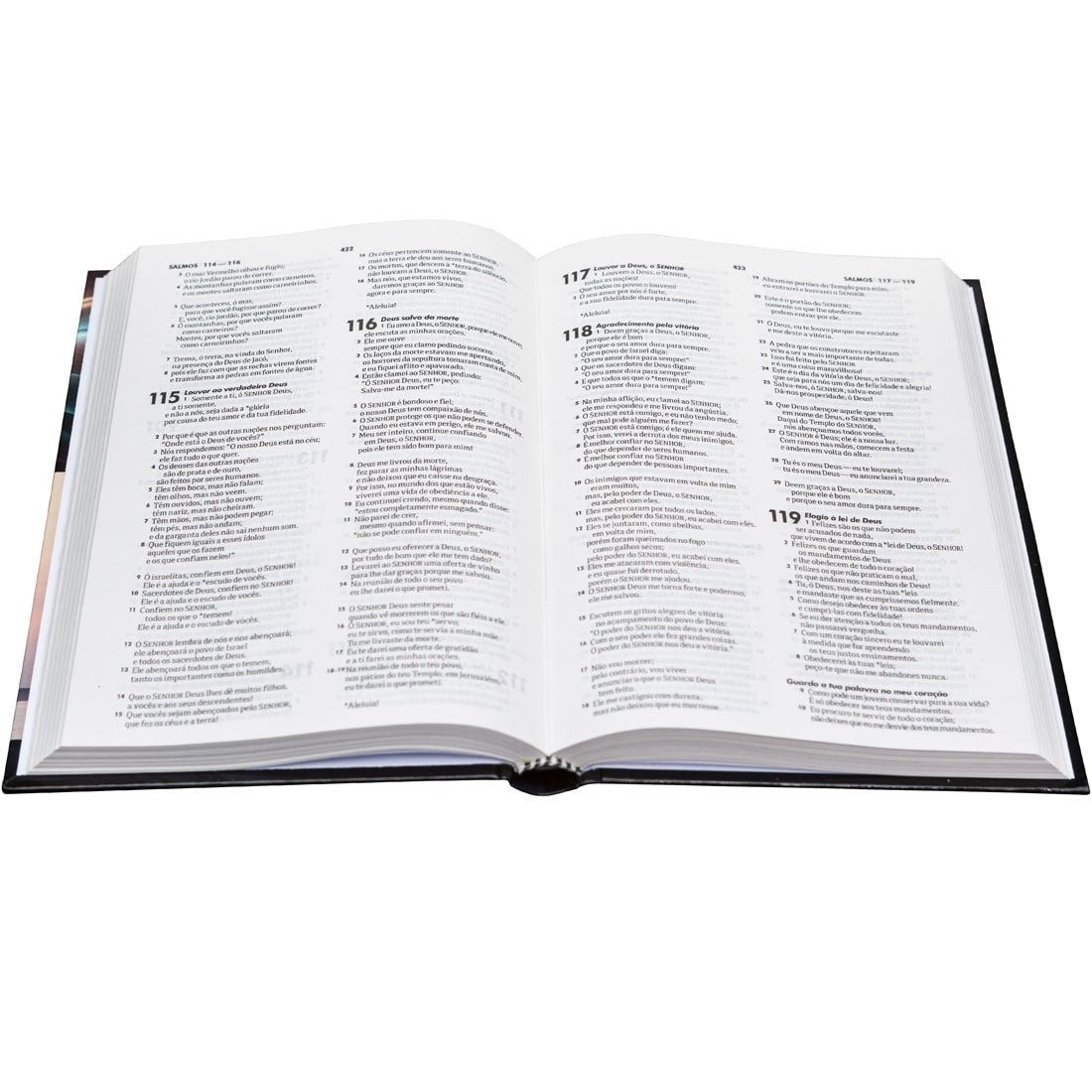 Bíblia Sagrada Lettering | Letra Normal | NTLH