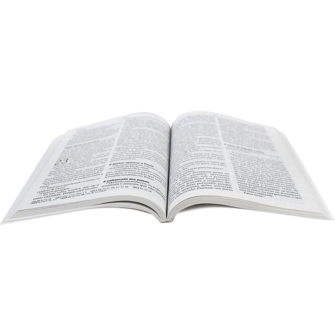 Novo Testamento NAA