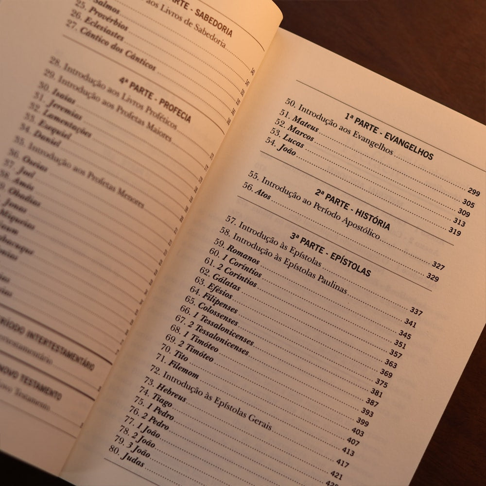 Redescobrindo Sua Bíblia | André Coelho