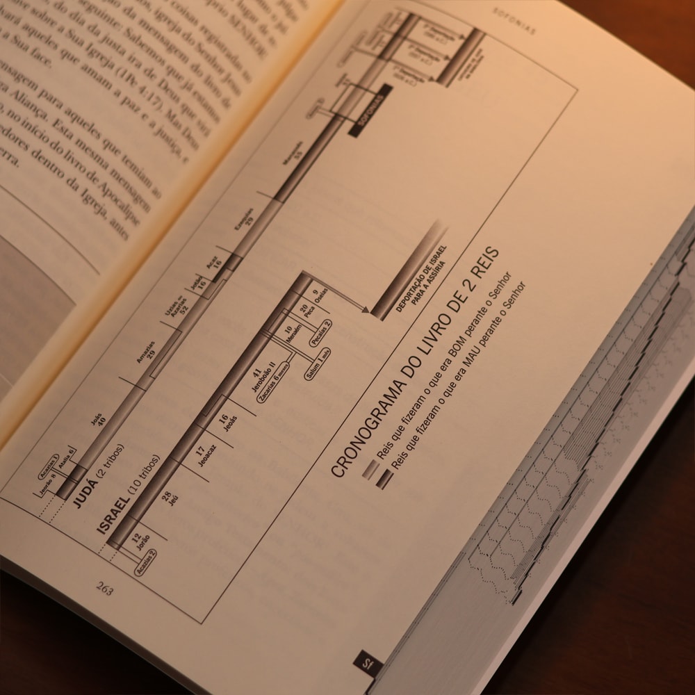 Redescobrindo Sua Bíblia | André Coelho