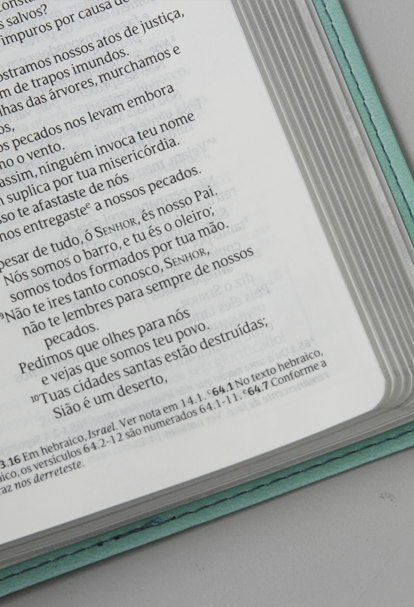 Bíblia Sagrada - Jornada com Cristo | NVT | Capa Verde