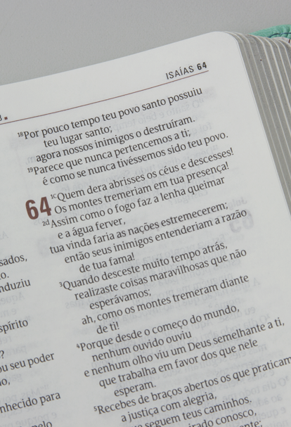 Bíblia Sagrada - Jornada com Cristo | NVT | Capa Verde