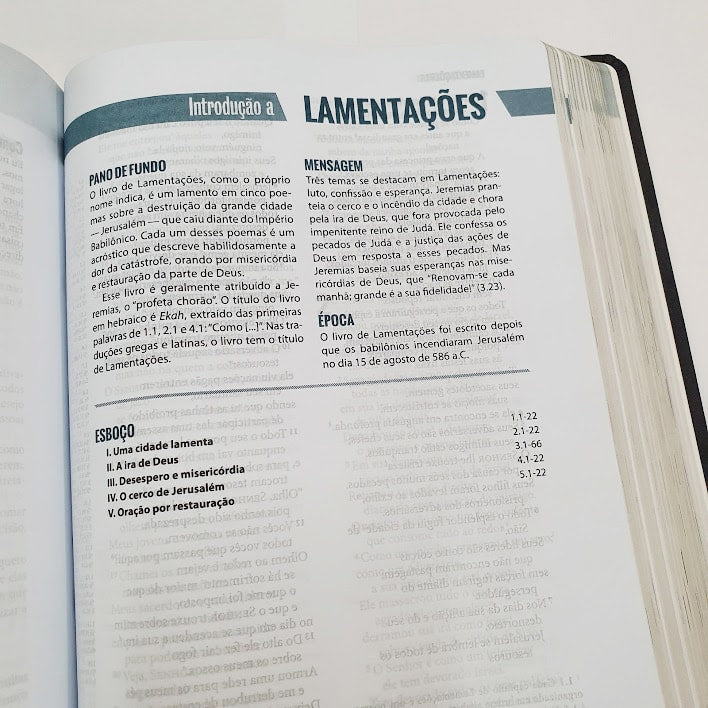 Bíblia Ministerial | NVI Letra Normal | Marrom Claro e Vermelho