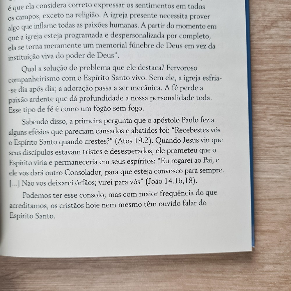 O Espirito Santo Meu Companheiro | David Yonggi Cho