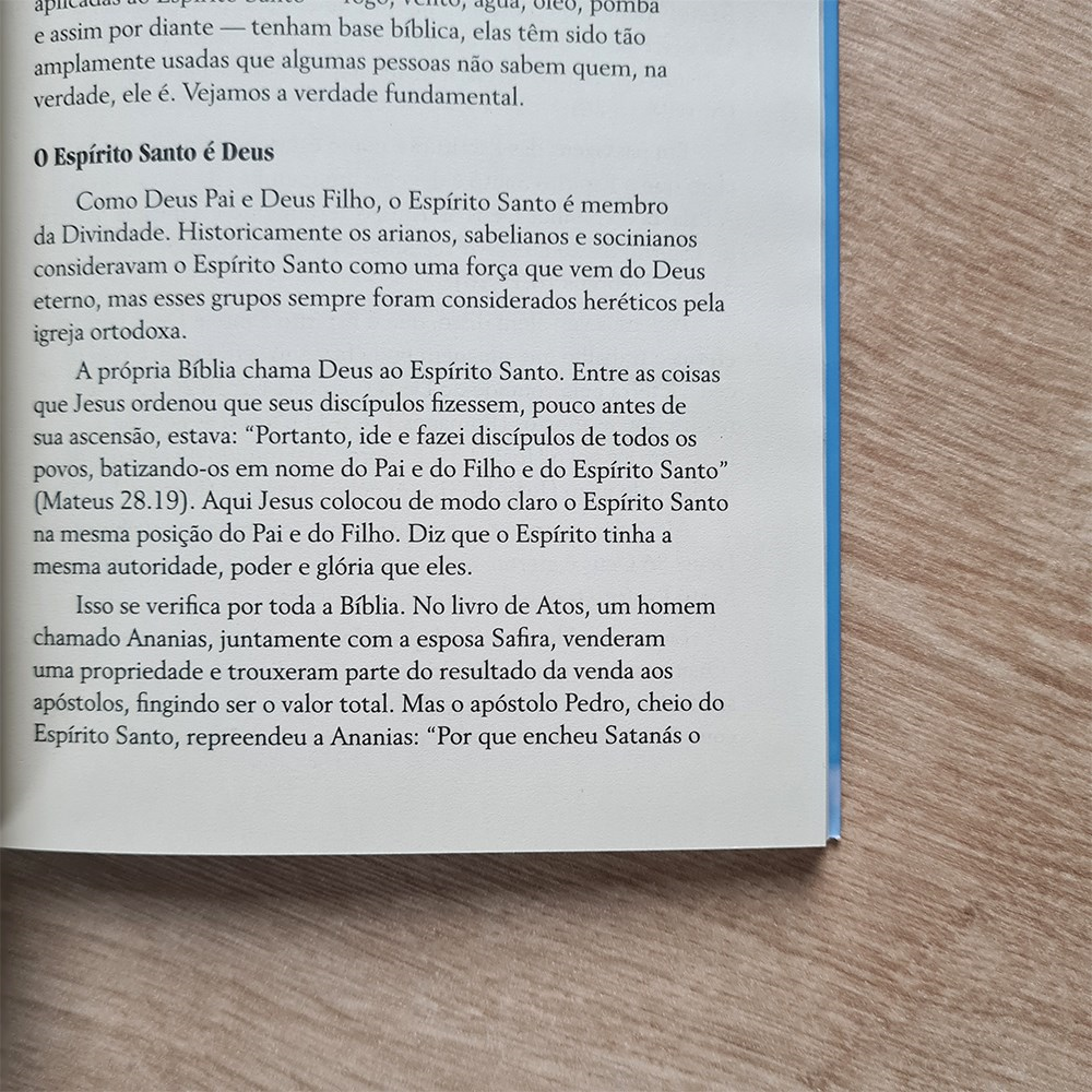 O Espirito Santo Meu Companheiro | David Yonggi Cho