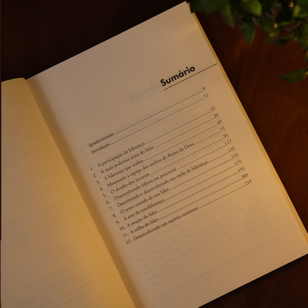 Liderança Corajosa | Bill Hybels