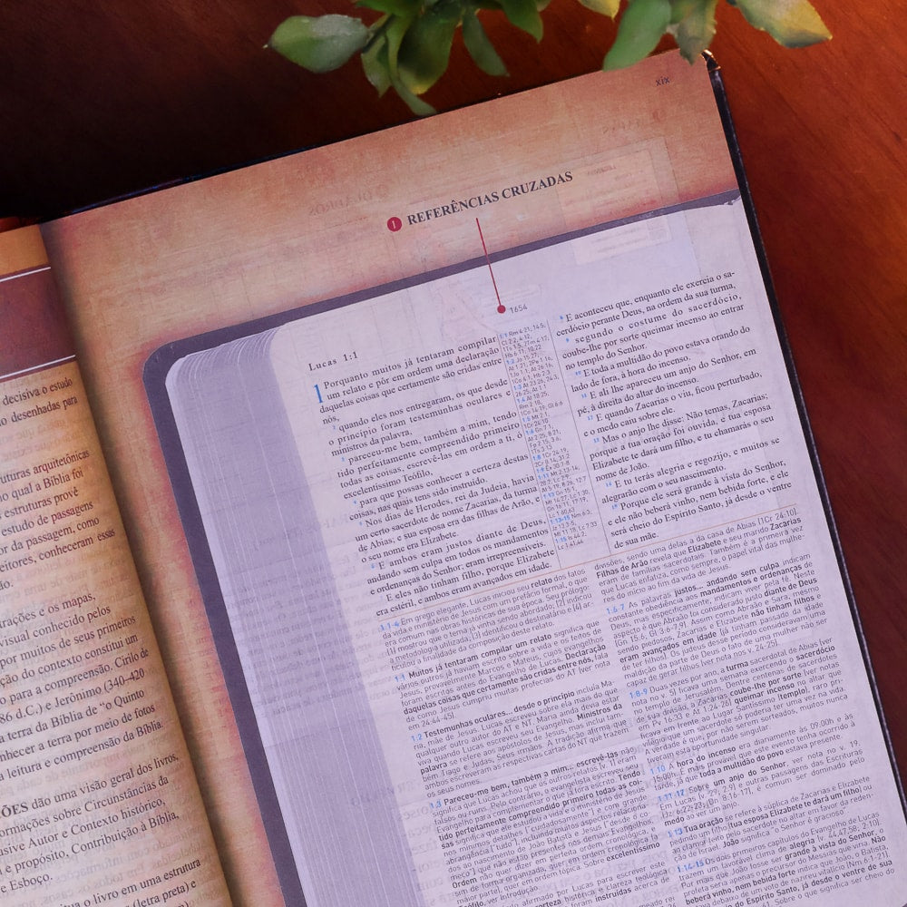 Bíblia King James 1611 Com Estudo Holman BKJ Preta e Marrom