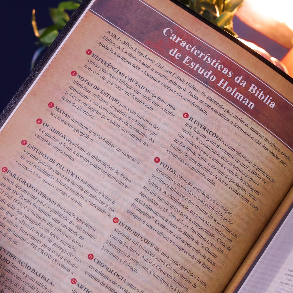 Bíblia King James 1611 Com Estudo Holman BKJ Preta e Marrom