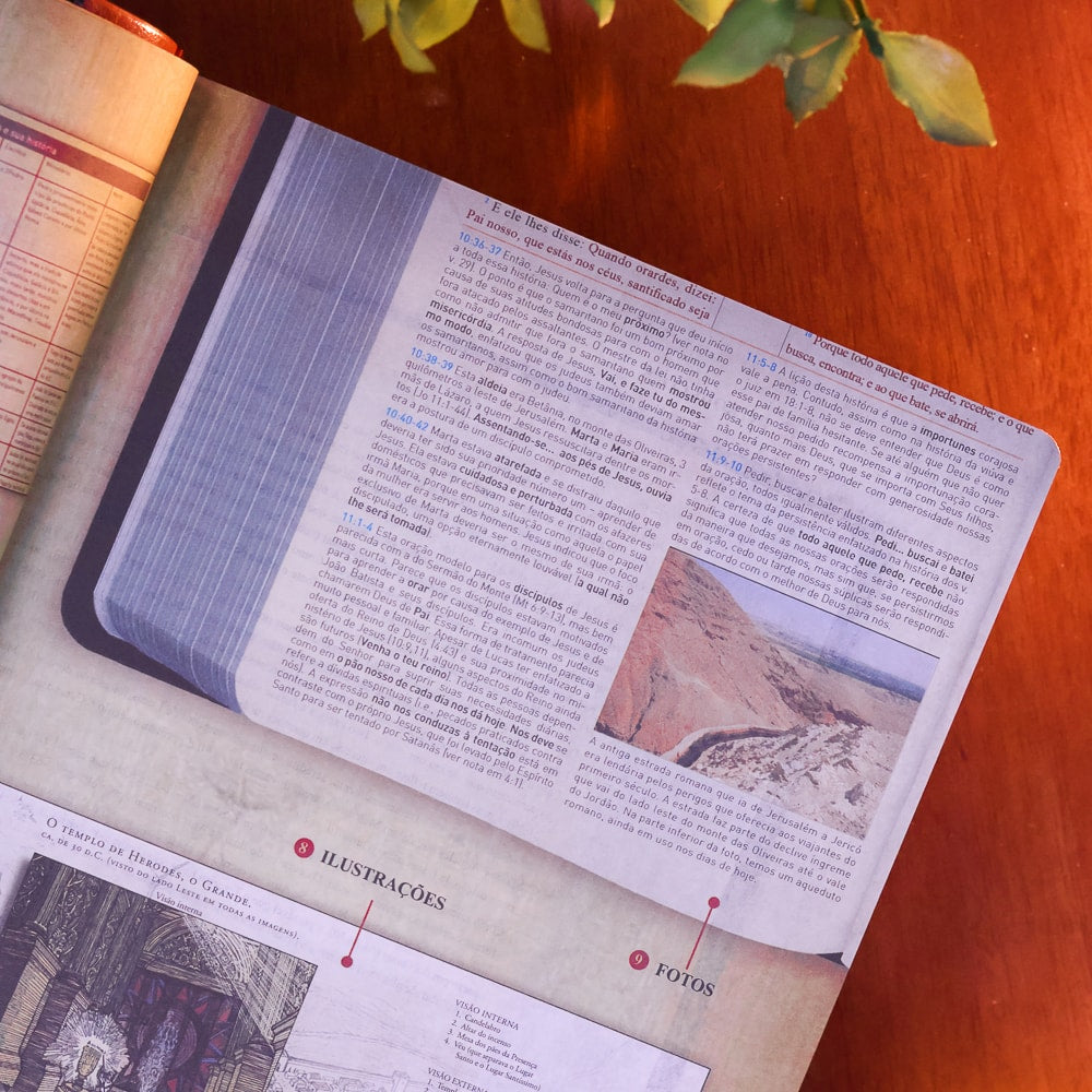 Bíblia King James 1611 Com Estudo Holman BKJ Preta e Marrom