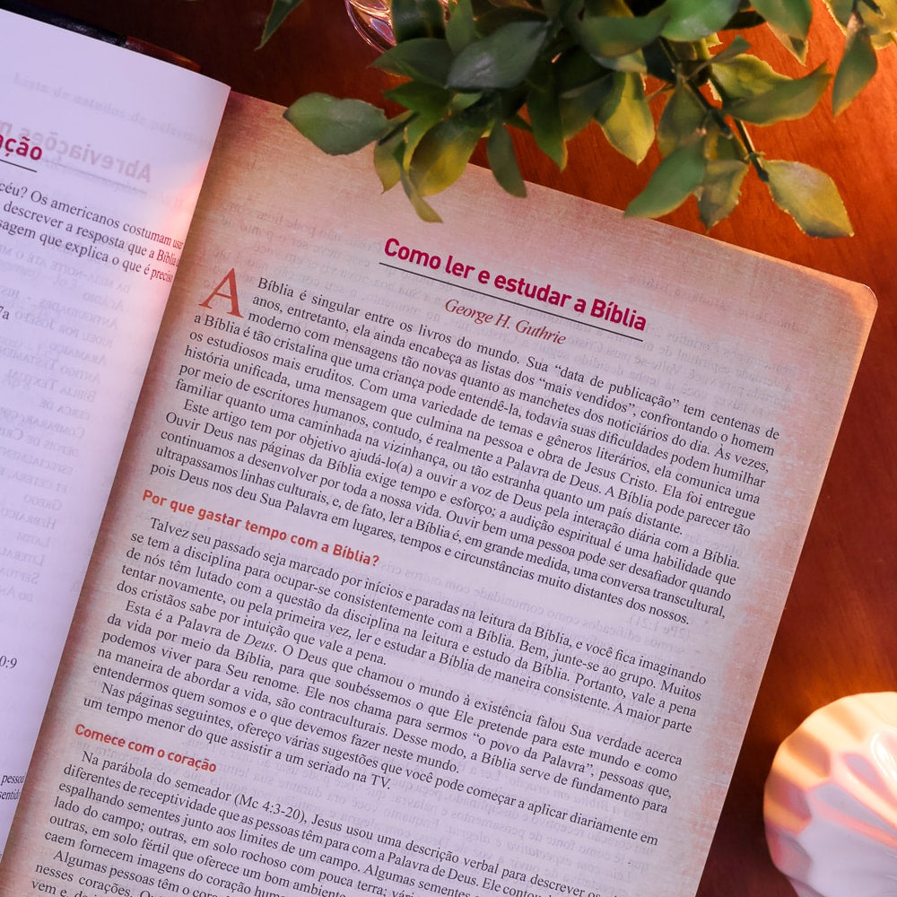 Bíblia King James 1611 Com Estudo Holman BKJ Preta e Marrom