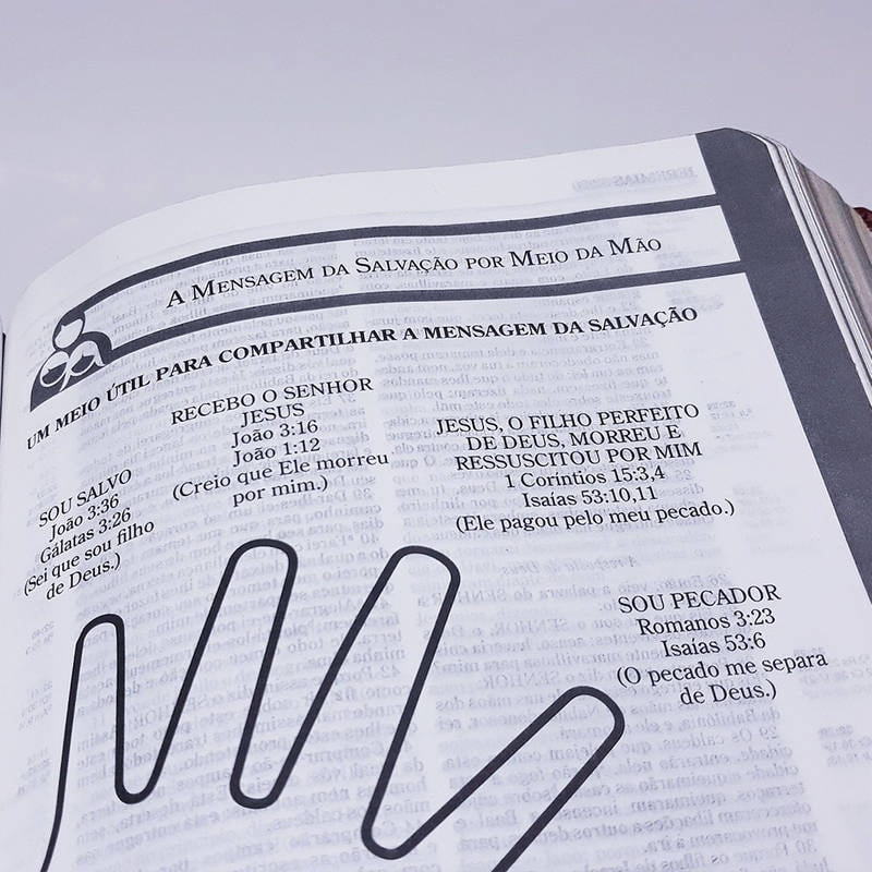 Bíblia de Recursos para o Ministério com Crianças | Apec | ARA | Marrom Luxo