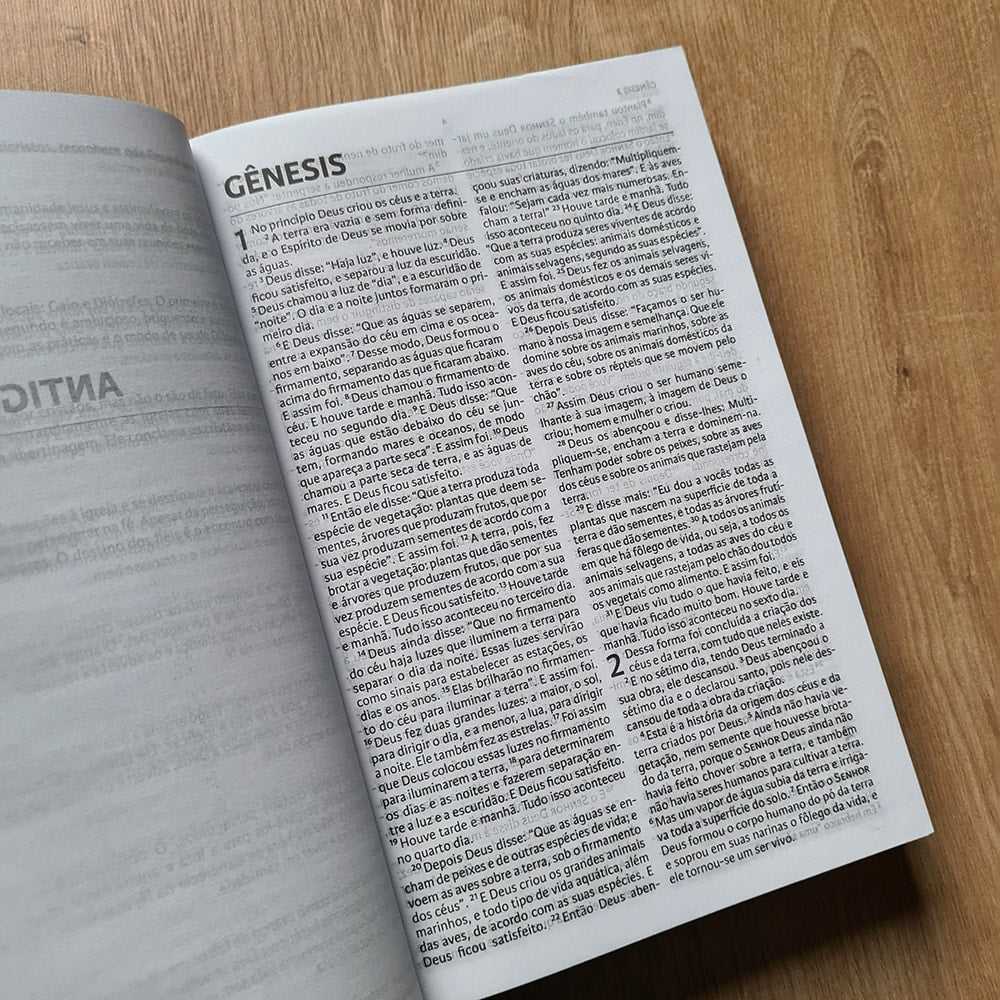 Nova Bíblia Viva | Letra Normal | Capa Dura Ondas