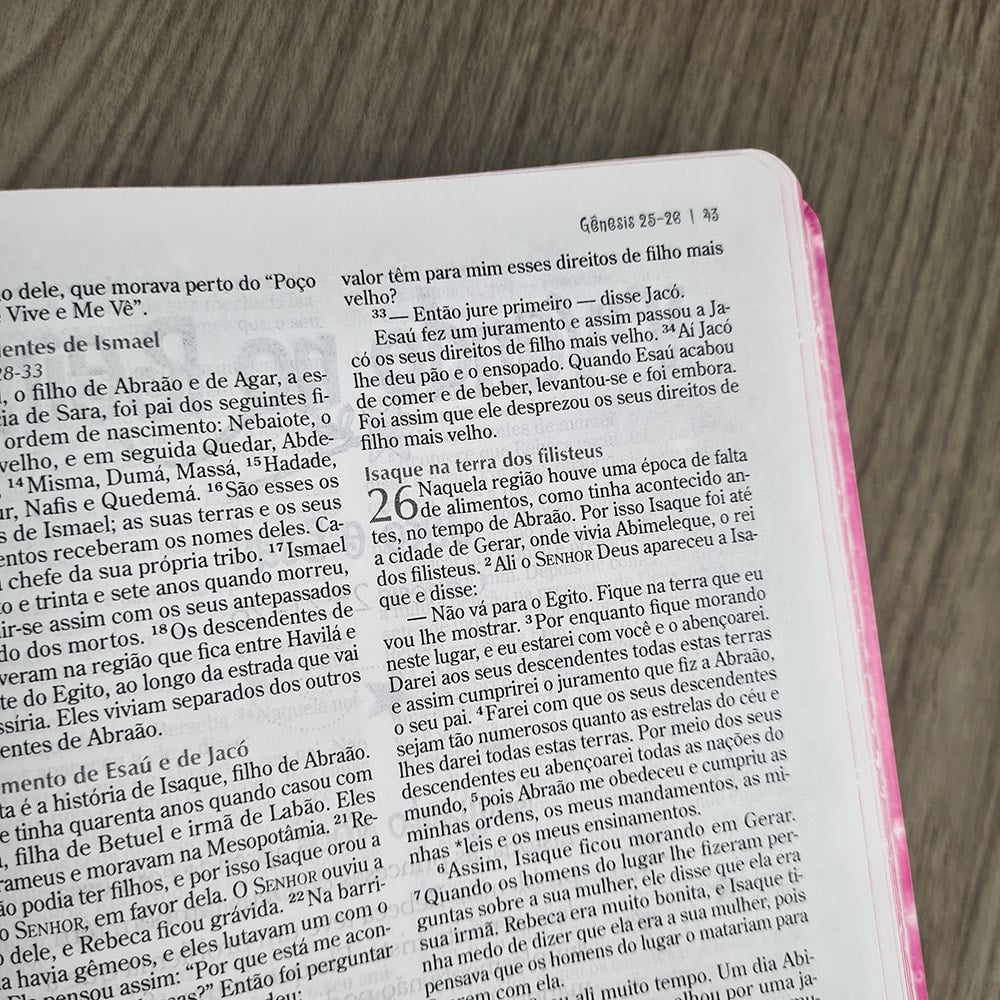 Bíblia Sagrada da Princesinha | Nova Edição | Sheila Walsh