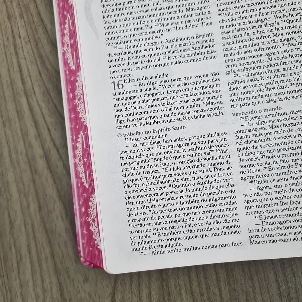 Bíblia Sagrada da Princesinha | Nova Edição | Sheila Walsh