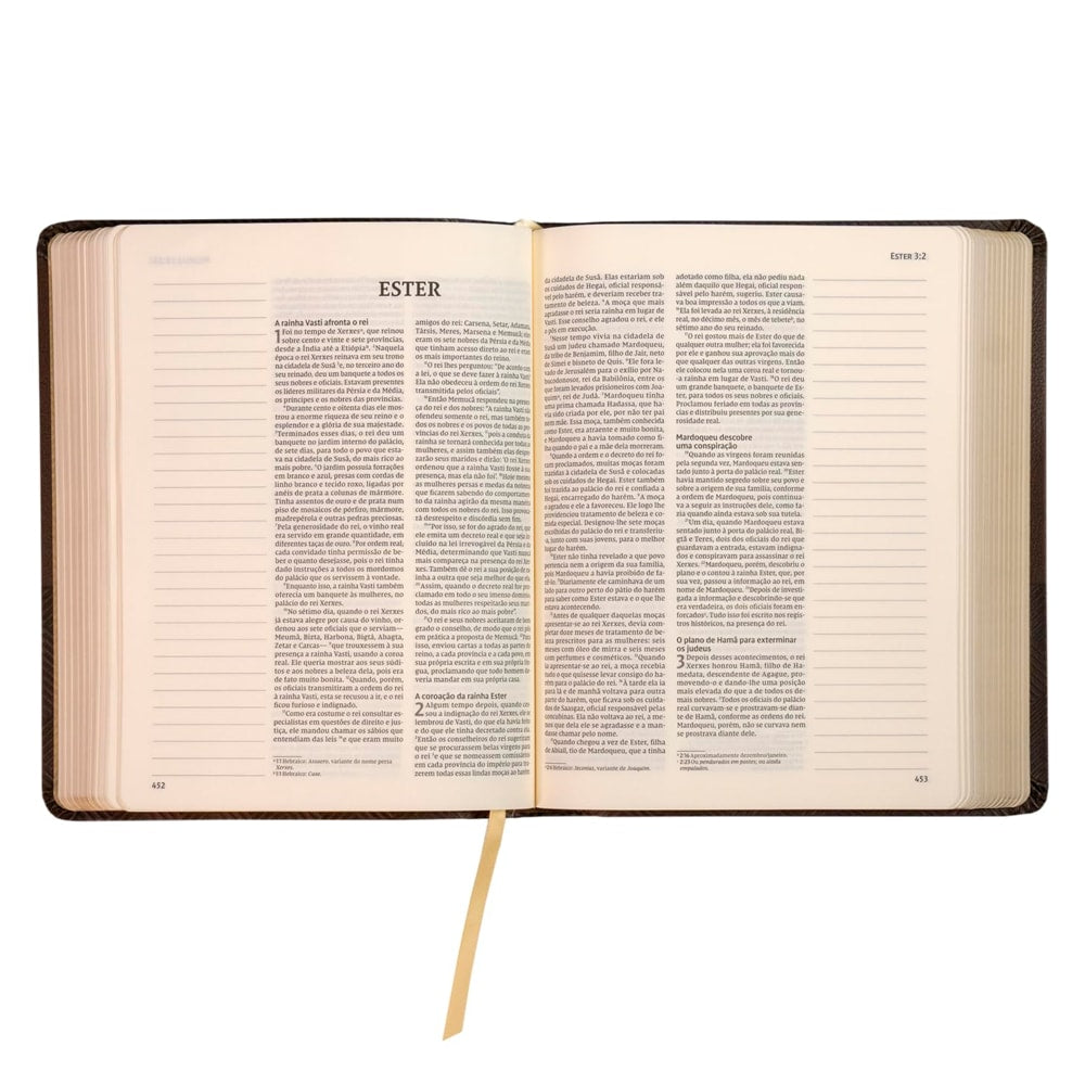 Bíblia Sagrada | Letra Normal | NVI | Espaço Anotações | Capa Marrom