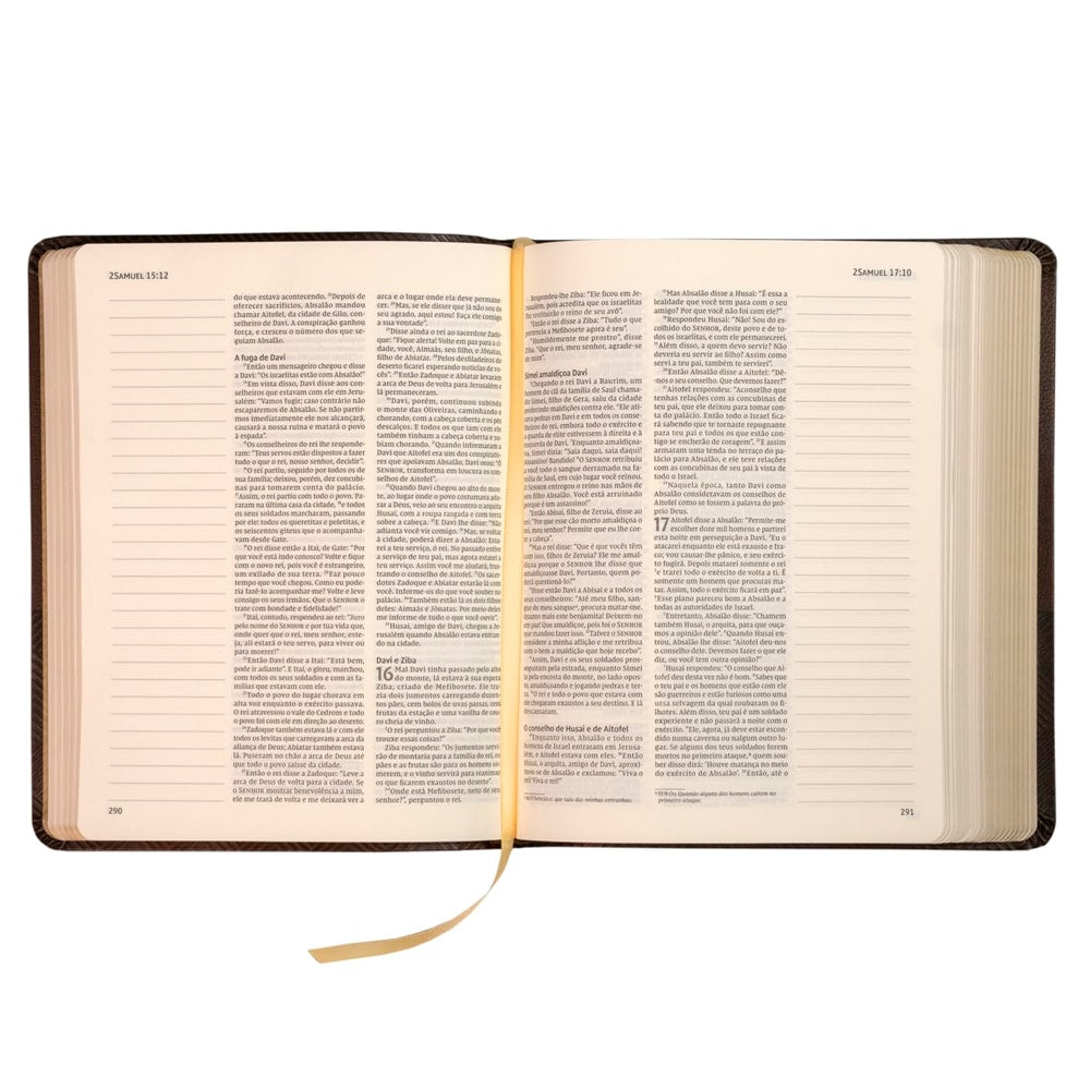 Bíblia Sagrada | Letra Normal | NVI | Espaço Anotações | Capa Marrom