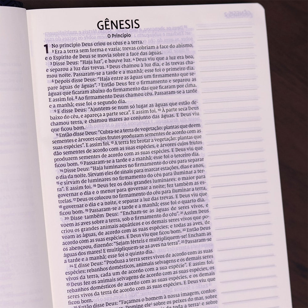 Bíblia Sagrada - Leitura Perfeita | Letra Grande | NVI | Espaço para anotações - Azul