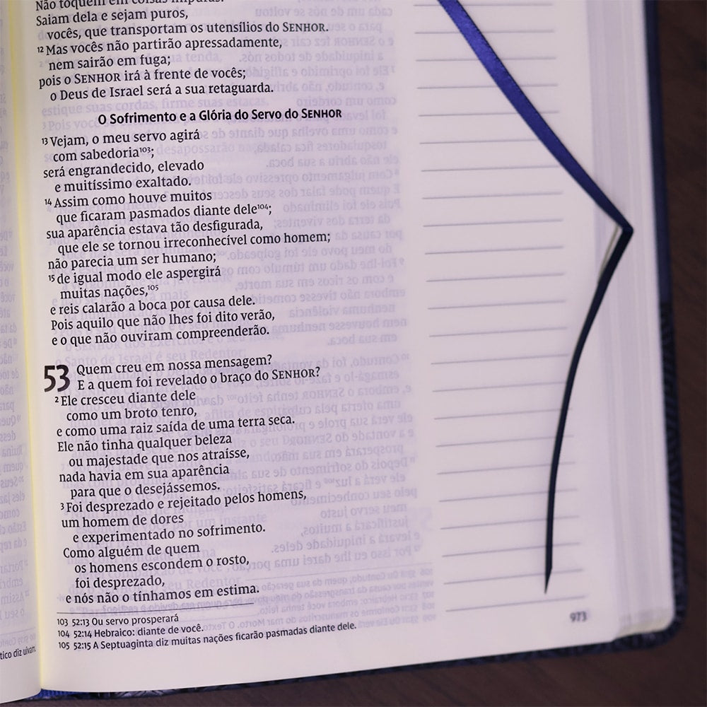 Bíblia Sagrada - Leitura Perfeita | Letra Grande | NVI | Espaço para anotações - Azul