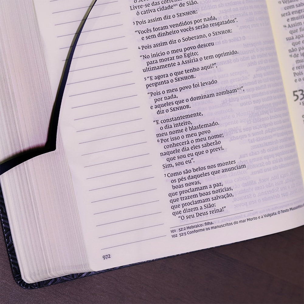 Bíblia Sagrada - Leitura Perfeita | Letra Grande | NVI | Espaço para anotações - Azul