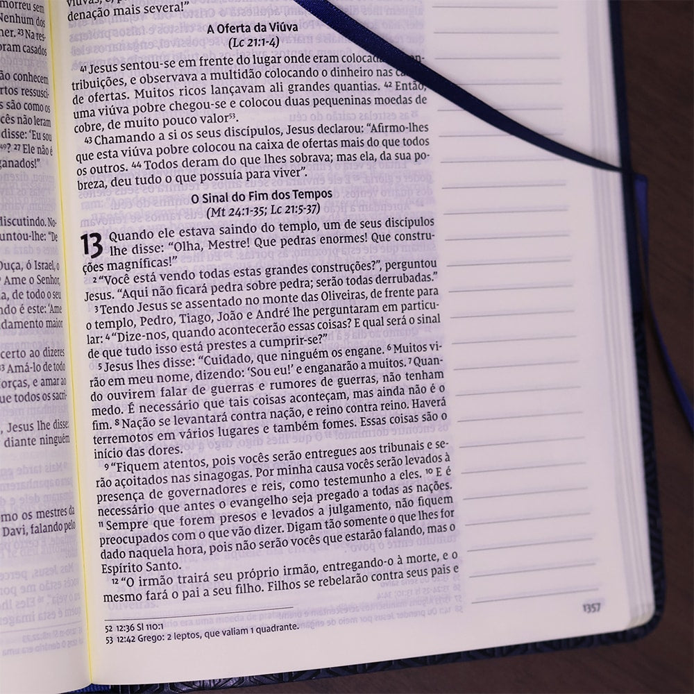 Bíblia Sagrada - Leitura Perfeita | Letra Grande | NVI | Espaço para anotações - Azul