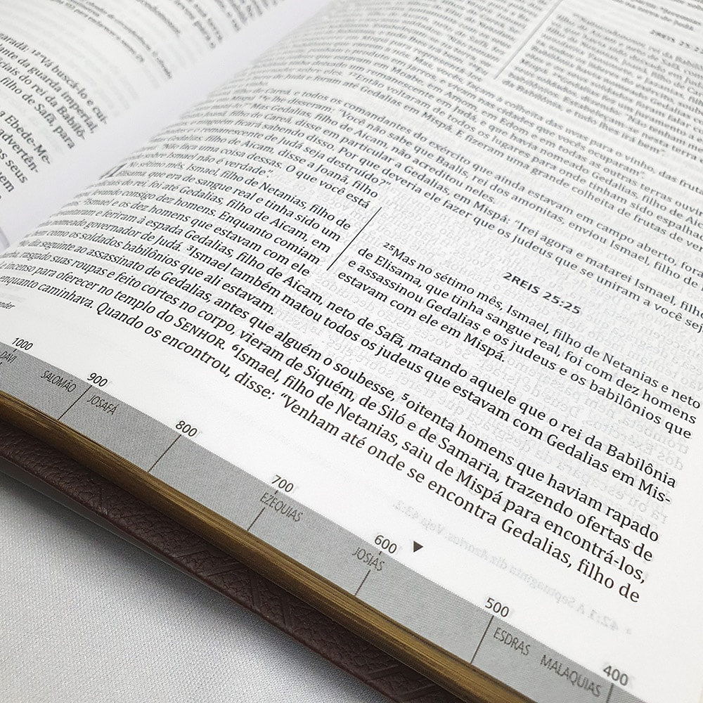 Bíblia de Estudo NVI Integrada | Capa Flexível Marrom