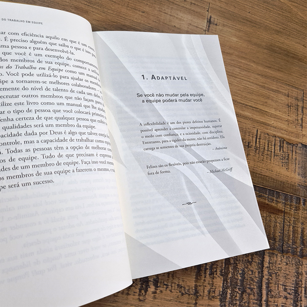 17 Princípios do Trabalho em Equipe | John C. Maxwell