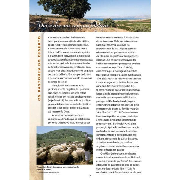 Ensinamentos da Torá | Thomas Nelson