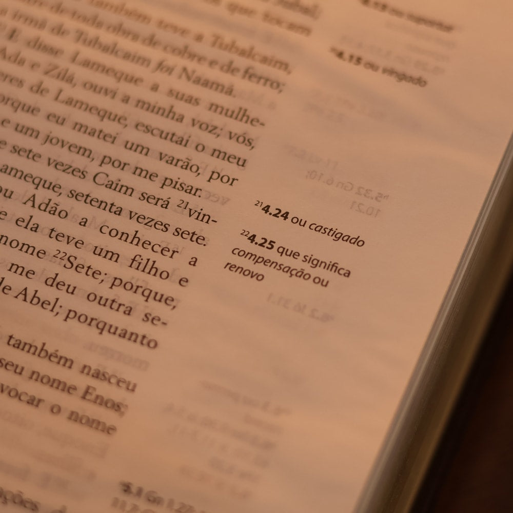 Bíblia do Obreiro Aprovado Média | ARC | Harpa Cristã | Capa Luxo Marrom