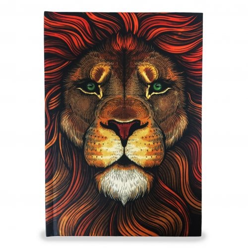 Bíblia Aslam | NAA | Capa Dura