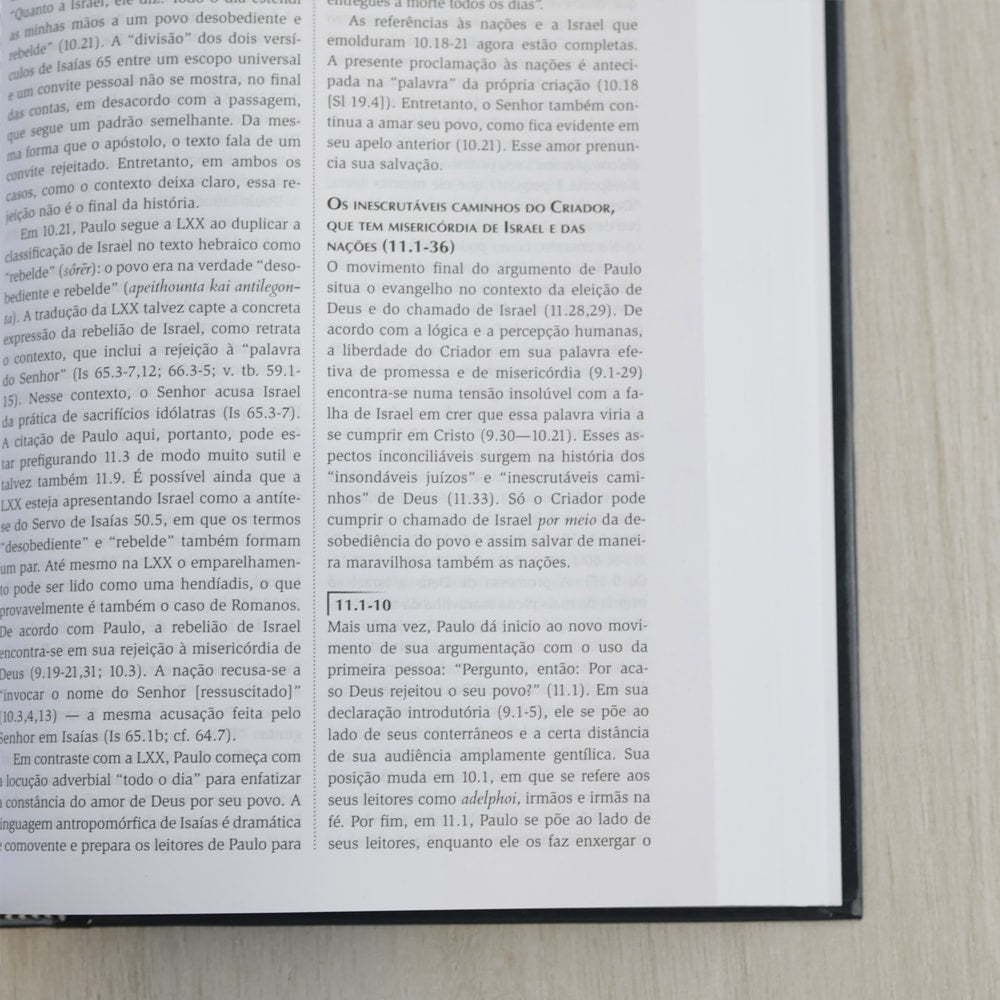 Comentário do uso do Antigo Testamento no Novo Testamento | G. K. Beale e D. A. Carson