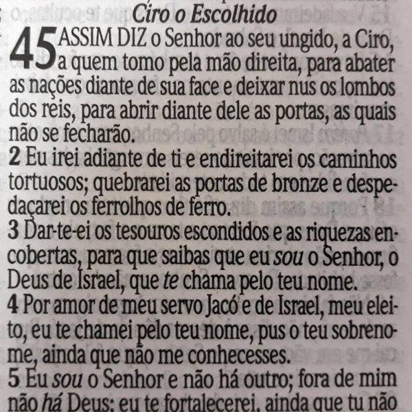 Bíblia Sagrada com Harpa Avivada e Corinhos | Letra Gigante | ARC | Laminada Pink