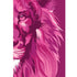 Bíblia Lion Colors Pink POP NVT, capa dura rosa com ilustração de metade do rosto de um leão. — Plenitude