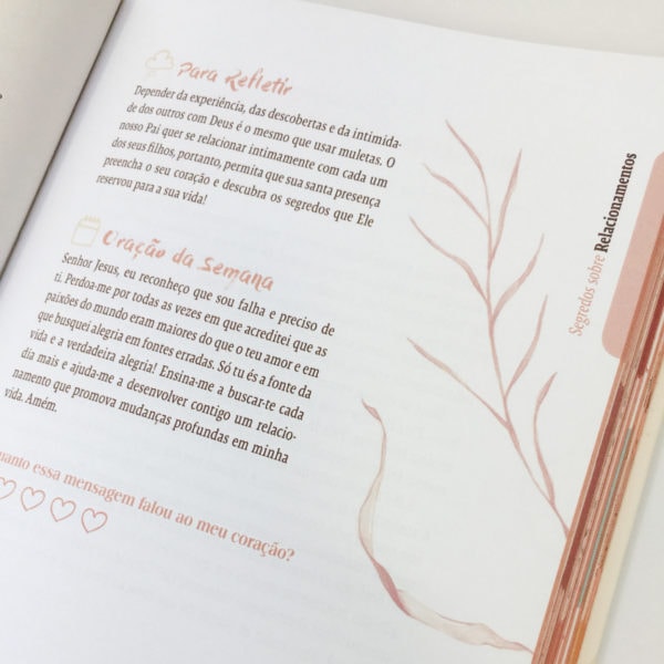 Devocional Segredos De Deus Para Você | Suely Bezerra