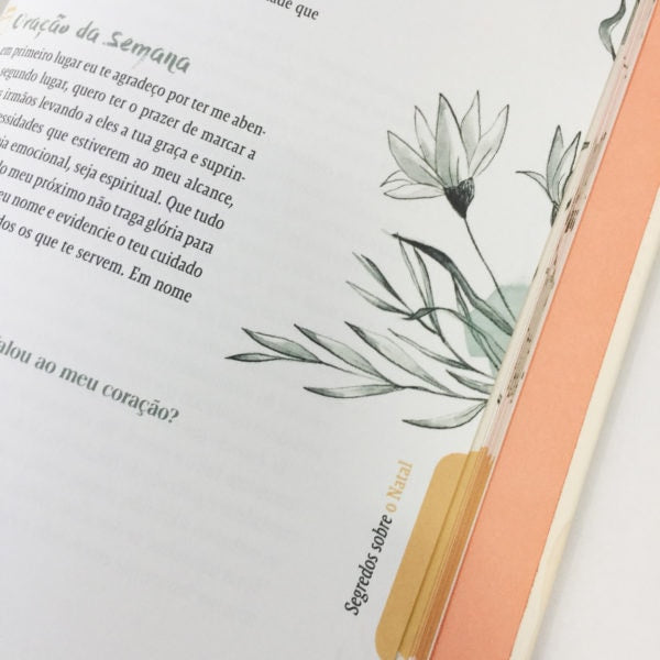 Devocional Segredos De Deus Para Você | Suely Bezerra