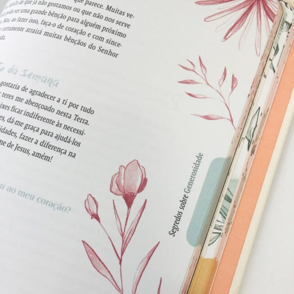 Devocional Segredos De Deus Para Você | Suely Bezerra
