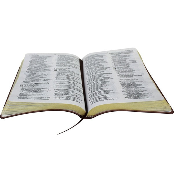 Bíblia Sagrada Missionaria | NAA | Letra Normal | Capa Marrom