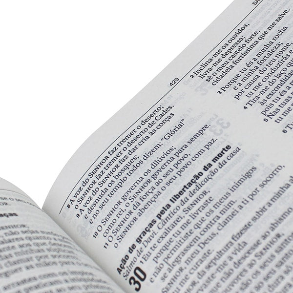 Bíblia Sagrada Missionaria | NAA | Letra Normal | Capa Marrom