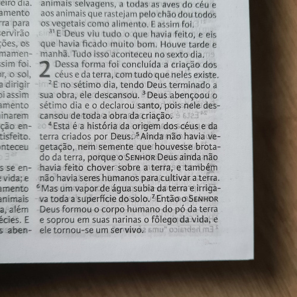 Nova Bíblia Viva | Sarom | Capa Dura