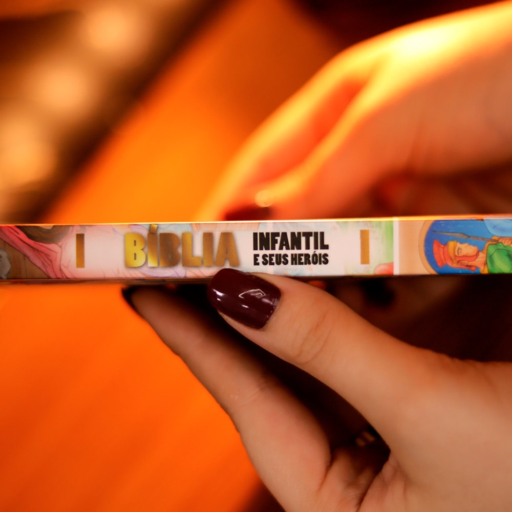 Bíblia Infantil e Seus Heróis