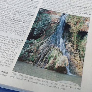 Bíblia King James 1611 Com Estudo Holman BKJ Marrom