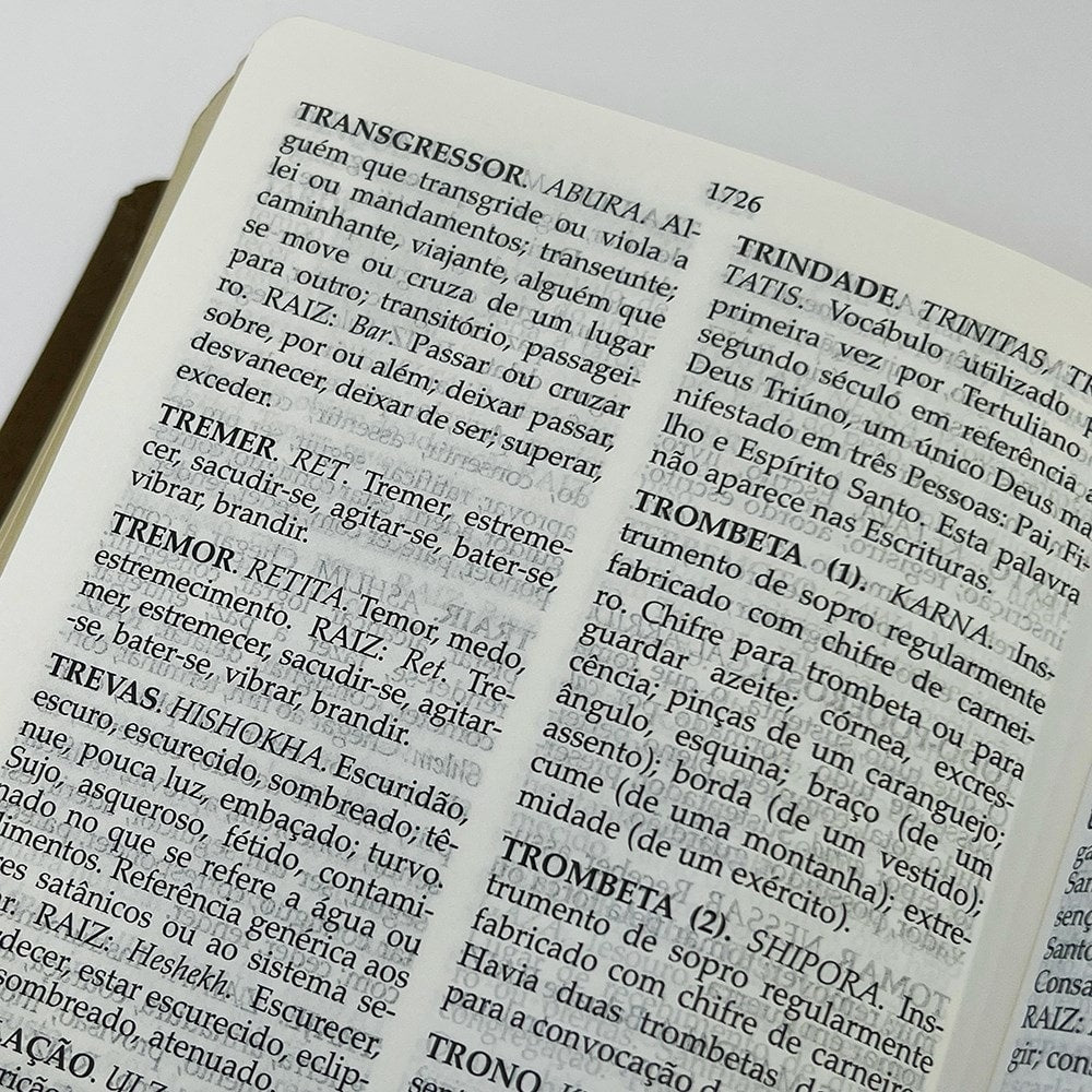 Bíblia Peshitta com Referências | Letra Grande | Capa Luxo Marrom